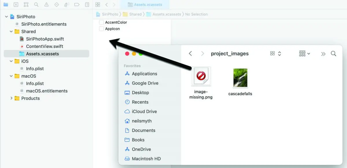 A SwiftUI SiriKit NSUserActivity Tutorial – Answertopia